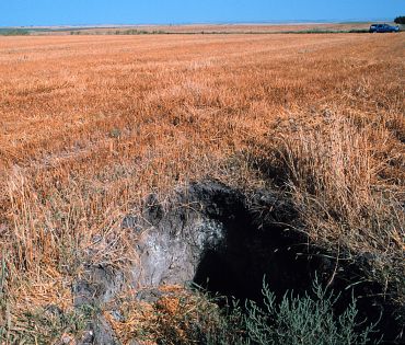 Left: The northwest edge of the northern hole contains a small 
		  cave or den that extends 7 feet below the surface.